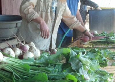 farmers market