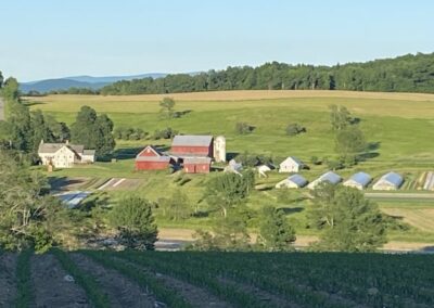alleged farm