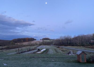 alleged farm